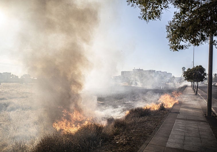 La Policía solo achaca el incendio del Puente Real al detenido el lunes de momento
